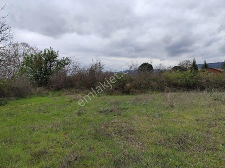 Çanakkale Yenice Akçakoyun Da Satılık 1350 M2 Köye Yakın Tarla