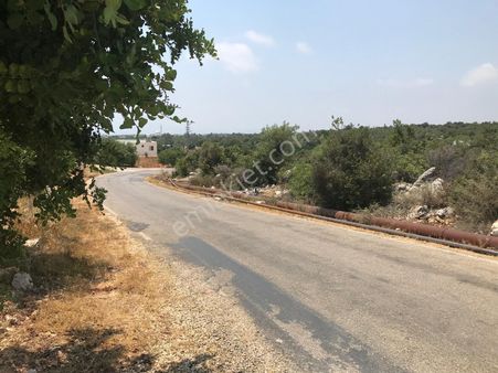 Narlıkuyu - Kızılisalı ' Da Satılık Asfalt Yola Cepheli Deniz Manzaralı Tarla