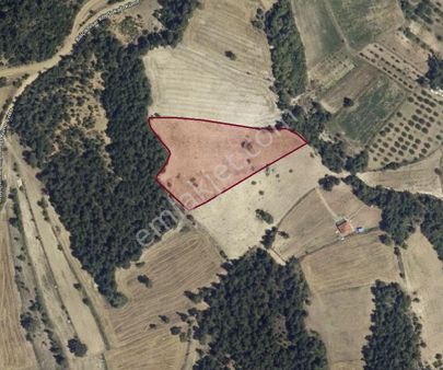 Bilecik Osmaneli Balçıkhisar Yatırımlık Tarla Fırsatı