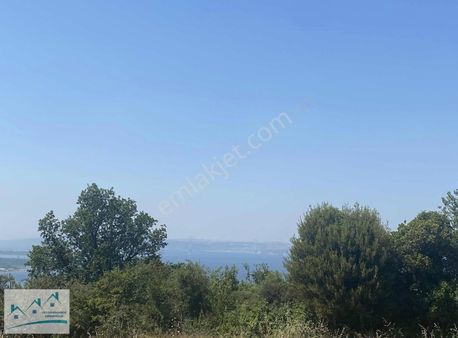 Fullll Köprü Ve Deniz Manzaralı