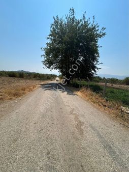 Bayındır Satılık Tarla Yakacık Köyü 9500 M2 Elektrk Su Mevcut