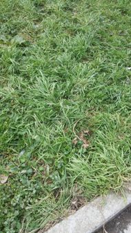 B.çekmece Eskicede 350m Satılık Villa İmarlı Düşeş Arsa No:320