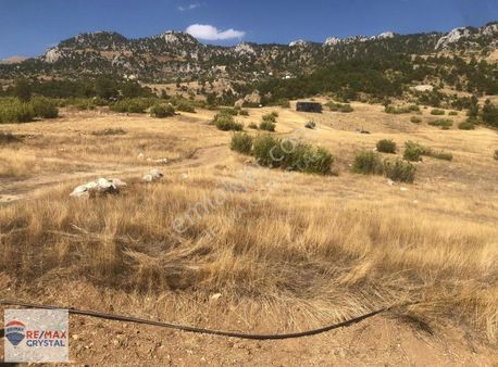 İmamlıda Müstakil Tarla