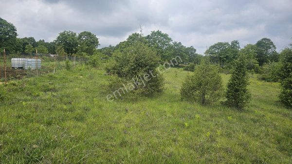 Gebze Kargalı Köyü İmara Yakın Fırsat Tarla