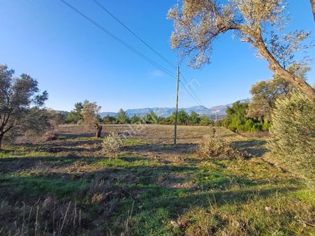 Stop’tan Seydikemer Korubükü’nde Vadi Manzaralı Satılık Tarla