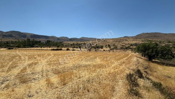 Öz Gaye Emlaktan Develi Yedek Sona Mevkiinde Satılık Tarla