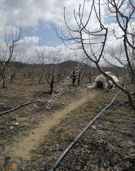 Öztülü Emlak'dan: Satılık Arazi Detaylar Açıklamada,lütfen Okuyunuz