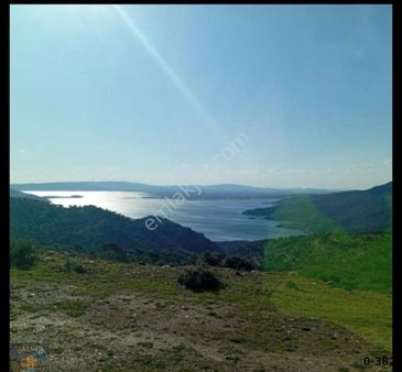 Öztülü Emlak'dan: Aydın Söke Yeşilkoy'de Bafa Gölü Manzaralı Zeytinlik