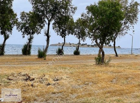 Turyap 'tan Seferihisar Akarcada Denize Sıfır Kiralık Villa