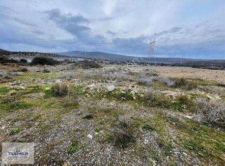 Turyap'tan Eski Çeşme - İzmir Yol Üstünde Satılık Kupon Tarla