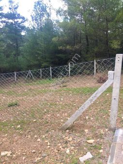 İzmir Torbalı Çamlıca Köyü Fırsat Parsel