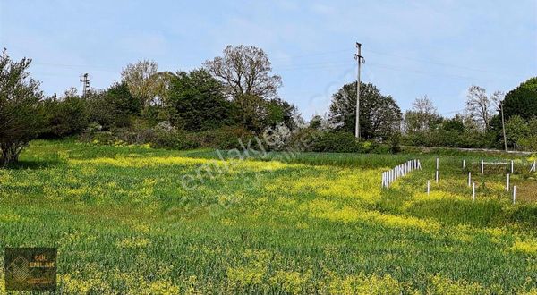 Silivri Dana Mandıra Kırklareli Ana Yola Yakın Satılık Tarla