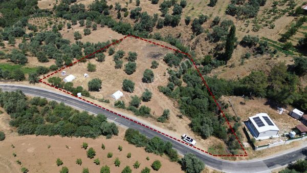 İzmir Bayındır Alanköy Mah'de Satılık Zeytinlik