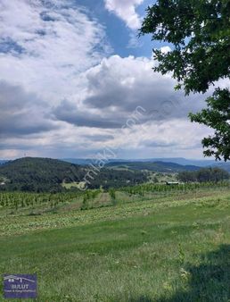 Mustakil Tapu 1.239m2 Resmi Yolu Mevcut. Elektrik Mevcut.