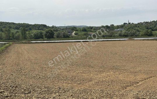 Çanakkale Biga Cihadiye Köyün'de Fırsat Satılık Tarla