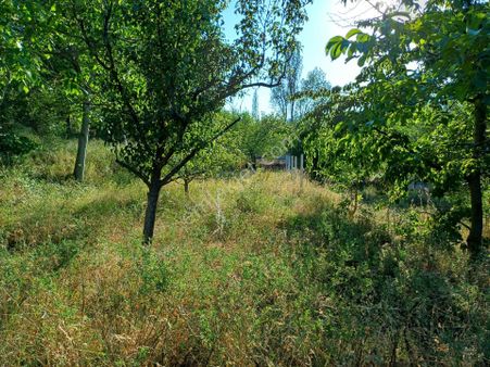 Küçük Ve Yakın Bağ İsteyenlere Fırsat