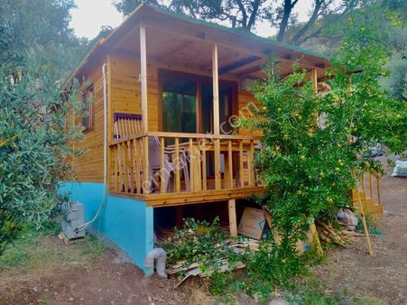 Fethiye Faralya 1.548 M² Tarla İçinde Kabak Koyu’na Çok Yakın Konumda Ahşap Ev – Elektrik, Yol, Su