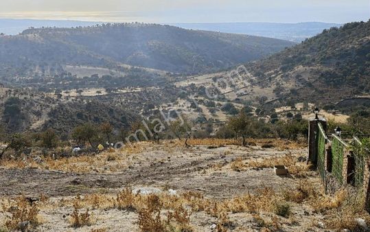 Çanakkale Ayvacık Naldöken Köyün'de Satılık Kelepir Tarla