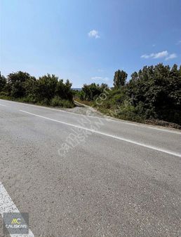 Emirseyit Satılık 1.517 M2 Bahçe