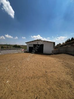 50 Bın M2 Lık Büyükbaş-küçükbaş Çıftlığı Anıtkaya