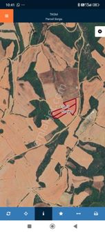 Gelibolu Çokal Köyünde Yatırım Lık Evladiyelik 11 Dönüm Arazi