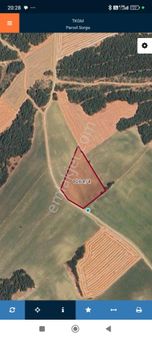 Şarköy İstiklal De Deniz Ve Boğaz Manzaralı 8 Dönüm Arazi