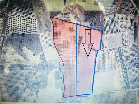 Ahmetli Cambazlı Mah. (31850 M2) Ges Yapımına Uygun Tarla!