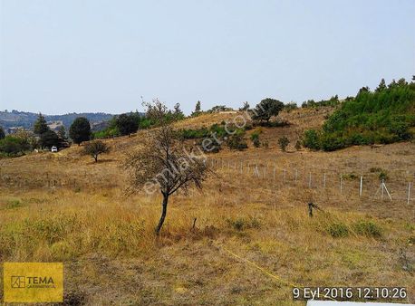 Dursunbey De Satılık Çiftlik Arazisi