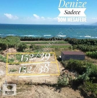 Bandırma-çalışkanlarda Denize Sadece 50m Uzakta Satılık Arsalar