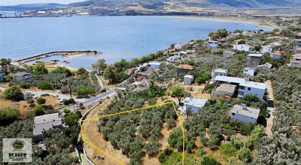 Kilit Emlak'tan Aşağı Yapıcı'da Deniz Manzaralı Zeytinlik