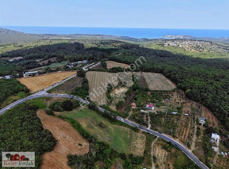 Kocaeli Kerpede Asfalt Cephe Satılık 1.025m2 Tarla