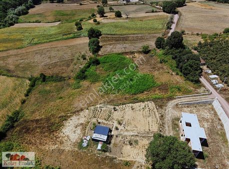 Kandıra Duraklı Köyünde Satılık %5imarlı 3.566m2 Tarla