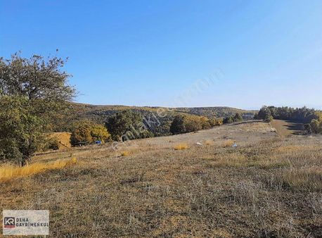 İnegöl Tekke Köyde Satılık Tarla
