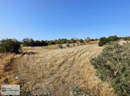 Nilüfer Yolçatı Yatırımlık Fırsat Arazi