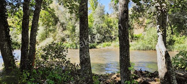 Bursa/keles 1200 M2 Kullanışlı Tarla