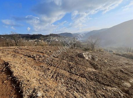 Öner Güneri Den Kdz Ereğli De Ücköy De Satılık Tarla