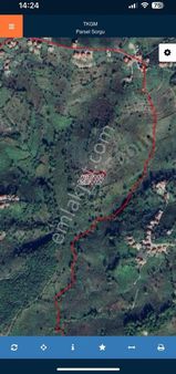 Öner Güneri Den Kdz Ereğli De Satılık Fındık Tarlası