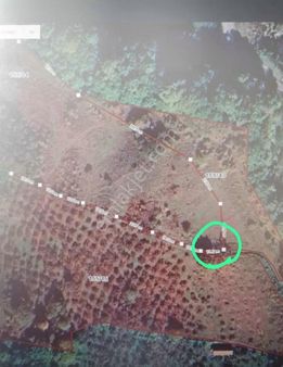 Öner Güneri Den Kdz Ereğli De Yola Cephe Satılık Tarla