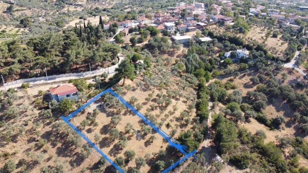 Yatırımlık Konumda Zeytinlik Erişimi Kolay, Köy Bitişiğinde