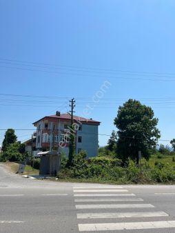 Görgülü Emlaktan Satılık Arsa Ve Müstakil Ev Asvalta Cephe