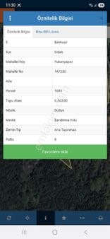 Erdek Yukarıyapıcıda Satılık Zeytinlik