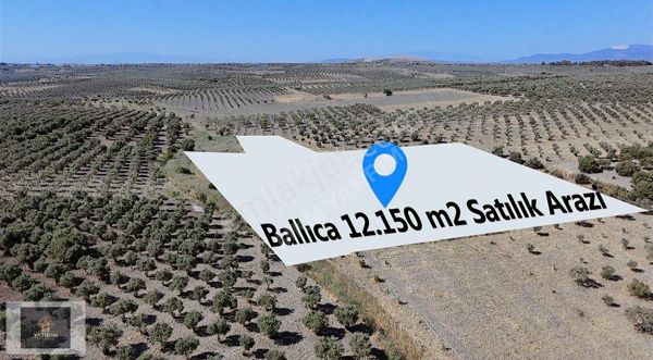 Ege Bölgesinin Değerli Topraklarında 12.150 M2 Tek Tapu Arazi