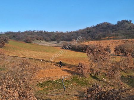 Uşak Eşme Yeleğen Kasabasında 26240m2 Satılık Arazi