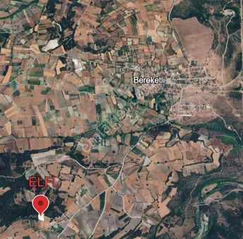 Elfi Den Bereketli Mahallesinde 1239 M2 Satılık Tarla