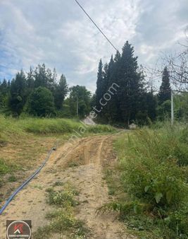 Kocaeli Karamürsel Pazarköy Mahallesinde Deniz - Doğa Manzaralı Satılık İmarlı Arsa