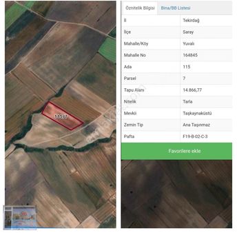 Saray Yuvalı Köyünde 14800 M2 Resmi Yola Cephe Tek Tapu Tarla