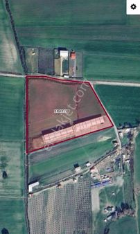 İzmir Menderes'te Emsallerin Altında Satılık Tarla