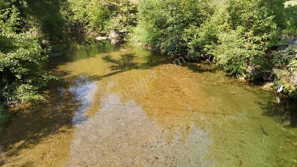 Alanya Gümüşgöze Mahallesinde Çaya 50mt 792m2 Fırsat Tarla