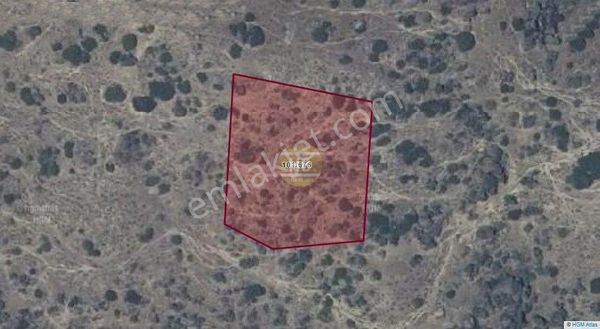 Hb'den Satılık Zeytinlik, Karpuzlu Gölcük Köyü'nde Araç Yoluna Çok Yakın Karpuzlu'ya 5 Km