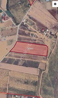 İzmir Develi'de Satılık Tarla